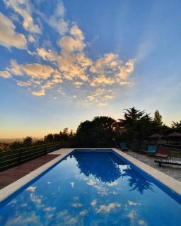 Hostería Vegetariana - 6