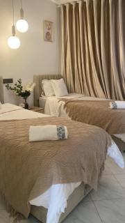 شقة فخمة وهادئة - 4