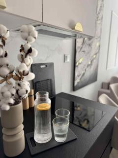 Nowy Nadmorski Apartament B5 z dużym ogrodem GĄSKI - przy MORZU 150m - 7