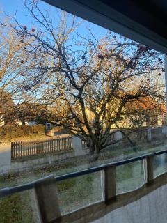 Ferienwohnung am Kirschbaum - 6