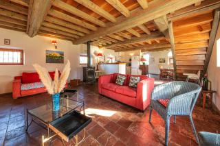 Le poulailler de la soursol - 8