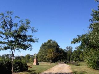 Le poulailler de la soursol - 4