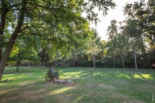 Le poulailler de la soursol - 2