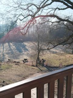 Penzion Farma Dolík - 8