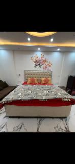 Ultra luxurious 1bhk in DLF capital Greens CSP tower 5 - 1