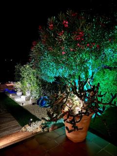 Casa Tanio 150m walking from the village and town of Tamariu - 2