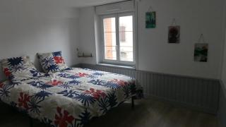 Grand T2 entièrement rénové entre Angers et Cholet - 3