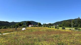 Apartment Suite in Os - 1