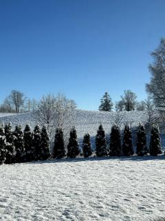 Apartment Suite in Os - 8