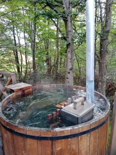 Cabañita con o sin Tinaja Ruta657 - 6