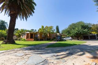 Apartment on the Vine - 2