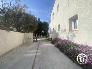 Le tilleul du parc de la dame - 1