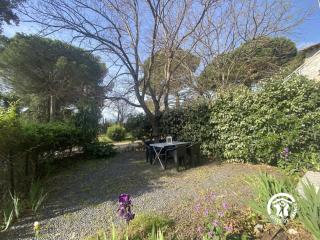 Le cedre du parc de la dame - 4