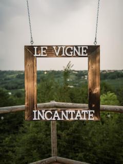 Le Vigne Incantate - 1