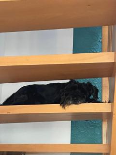 Pension Doreen Nieswand - 9