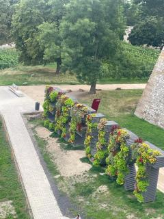 Pension Doreen Nieswand - 8