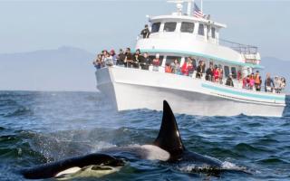 Blue Sky Villa Ahangama - 9