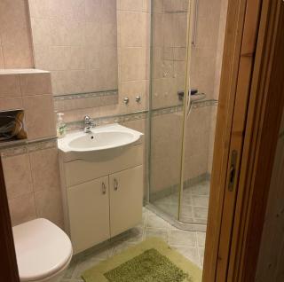 Bed and Breakfast- rom med bad i Elverum - 2