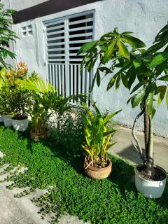 Corner Nook Transient - 9