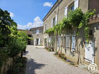 La surprise des jumelles - 6