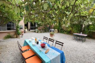 Les colombelles -  - 3