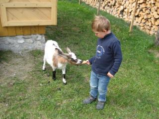 Demelhof Urlaub auf dem Bauernhof - 7