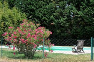 Eucalyptus - Thuir - 9