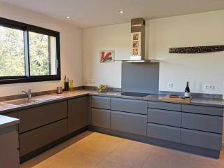 Eucalyptus - Thuir - 8