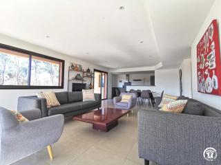 Eucalyptus - Thuir - 7