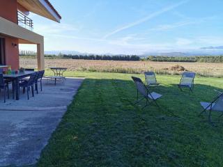 Eucalyptus - Thuir - 1