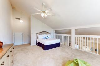 Port Orange Palm Tree Reverie - 5