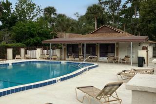Port Orange Palm Tree Reverie - 4