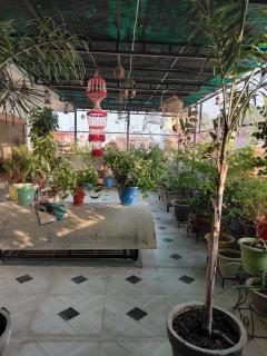 Prakash comfort inn homestay - 1