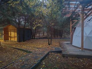 Kopuły glampingowe Radziejowice - 5