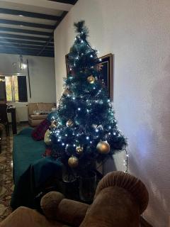 Mountain Retreat in Kakopetria, Cyprus - Perfect for Families - 7