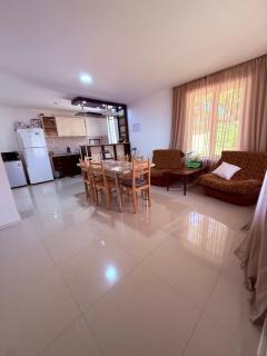 cottage in tsemi (Borjomi) - 8