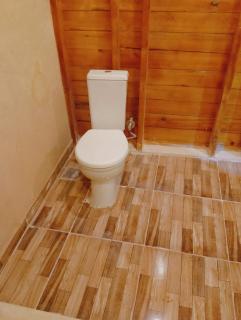 Dar Tunis Al Zaytoun - 7