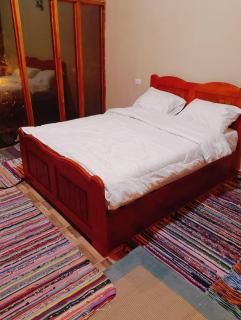 Dar Tunis Al Zaytoun - 9