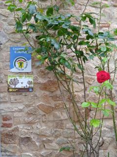 L'oree de la gresigne - Cordes-sur-Ciel - 3