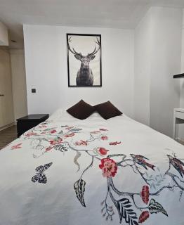 Loft con terraza privada - 6