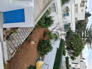 L'expérience Roof Top de La Marsa - 2