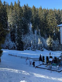 Pamporovo Apartment 314 The Castle 3 - 9