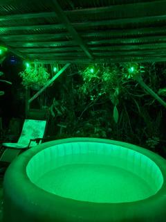 Orgánico Punta Riel - 1