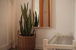 Ferien-und Montagewohnung Cramer - 9