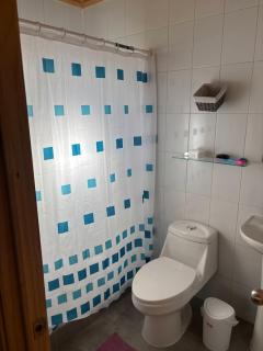 Cabaña en Panguipulli - 3