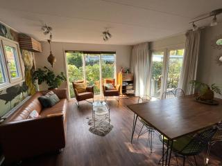 Chalet Bosrand 42 Park Veluwshof 6 p - 9