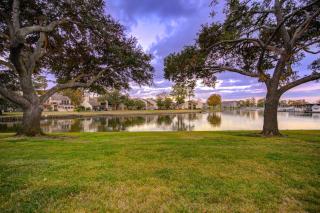 Serene Lakeside Beauty - 9