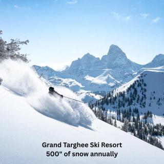 Teton View Studio - Hidden Gem near Yellowstone - Tetonia - 9