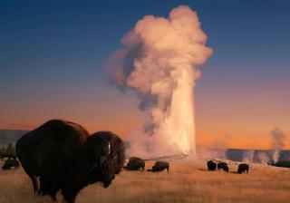 Teton View Studio - Hidden Gem near Yellowstone - Tetonia - 5