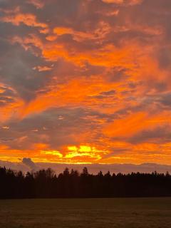 Ferienwohnung Hajü - 9